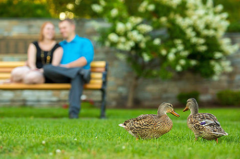 Shotwell Memorial Park