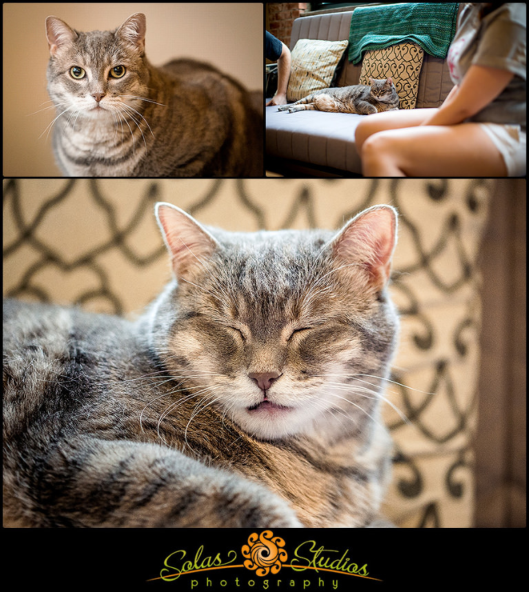 Engagement Photos with Cat Syracuse
