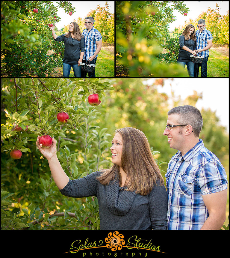 Apple Picking Engagement Photos at Ontario Orchards