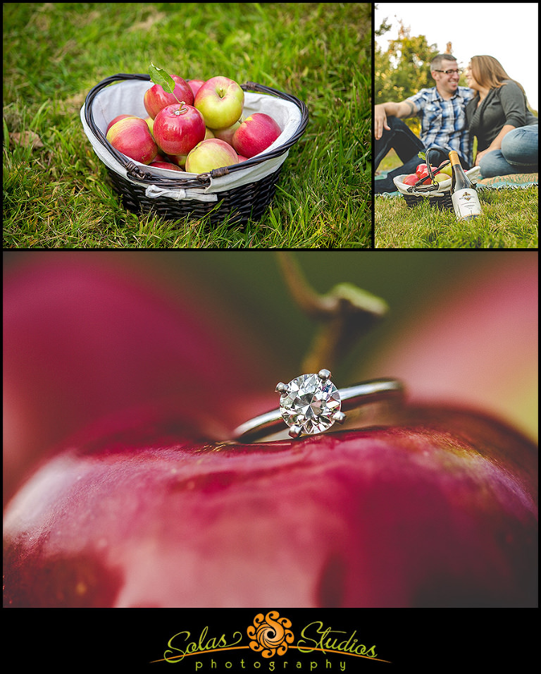 Apple Picking Engagement Photos at Ontario Orchards