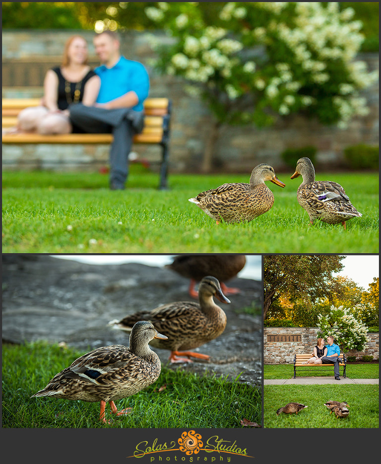 Solas Studios Engagement Session at Skaneateles Lake