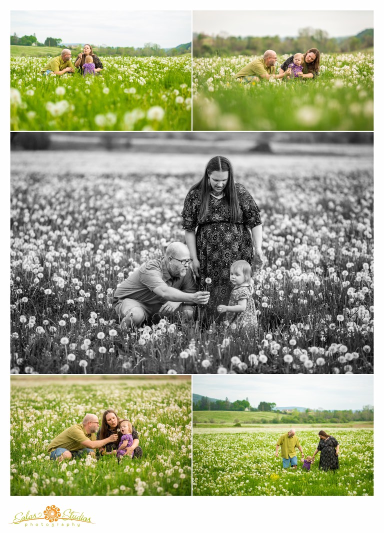 Solas-Studios-Photography-Family-Engagement-Session-Cherry-Valley-2