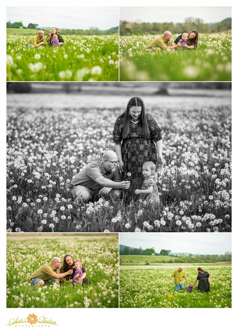 Solas-Studios-Photography-Family-Engagement-Session-Cherry-Valley-2