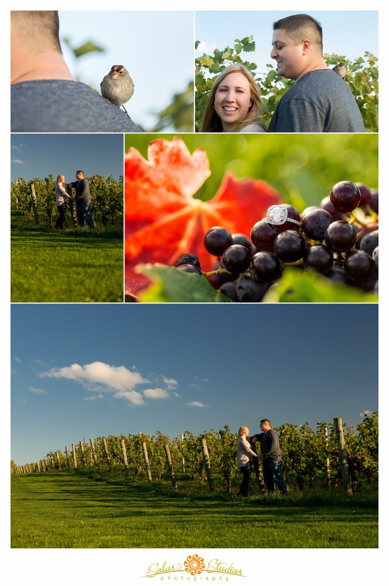 Solas-Studios-Engagement-Session-Ventosa-Vineyards-Geneva-NY-2