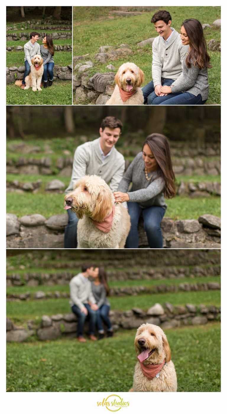 engagement session thornden park 1