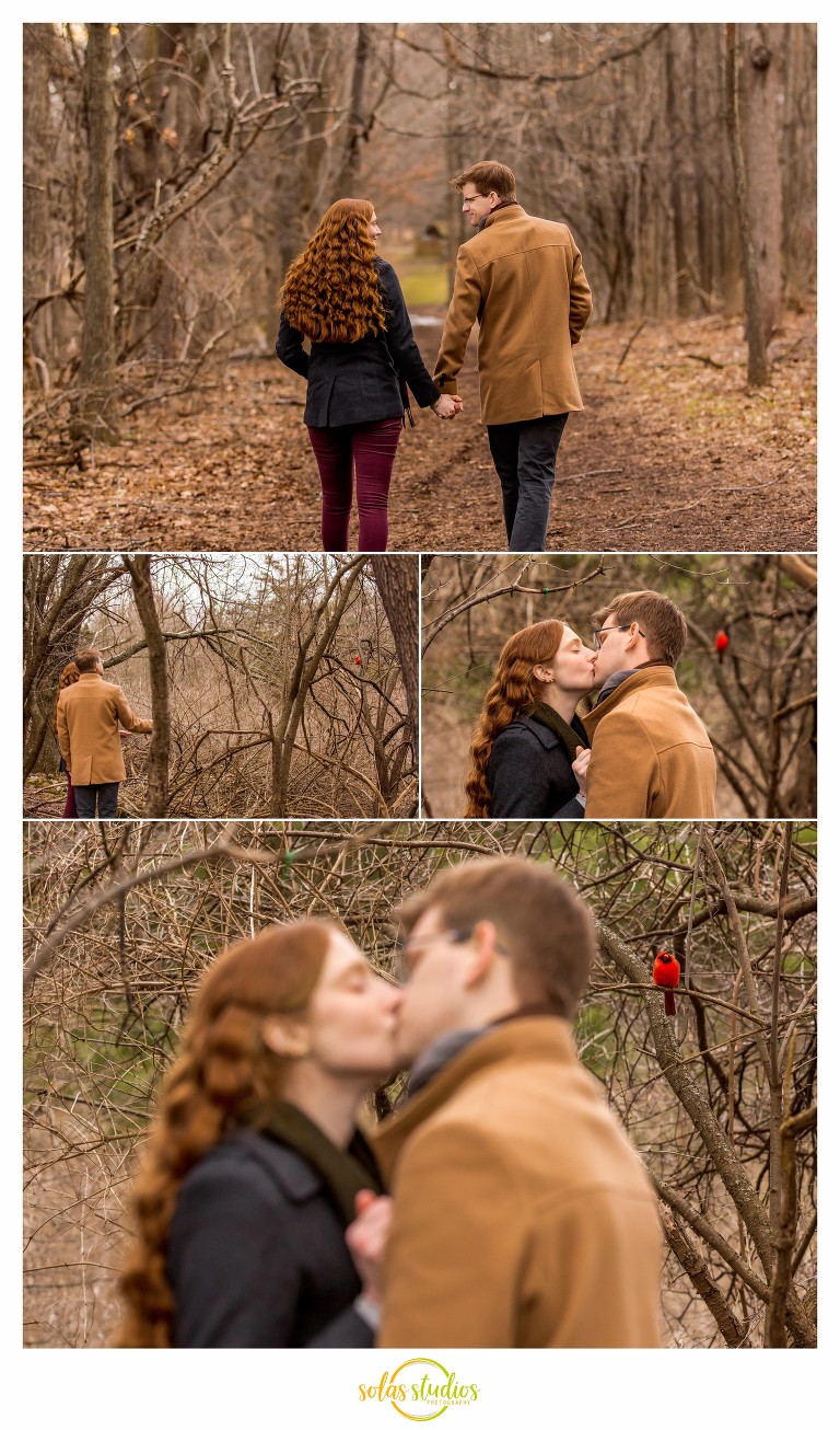 mendon ponds park engagement session schoen place 1